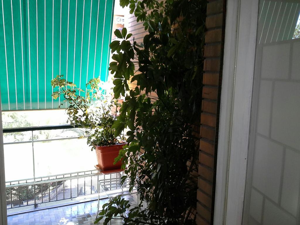 Olimpica Relais Guest House Rzym Zewnętrze zdjęcie